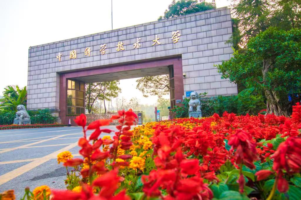 研究成果
